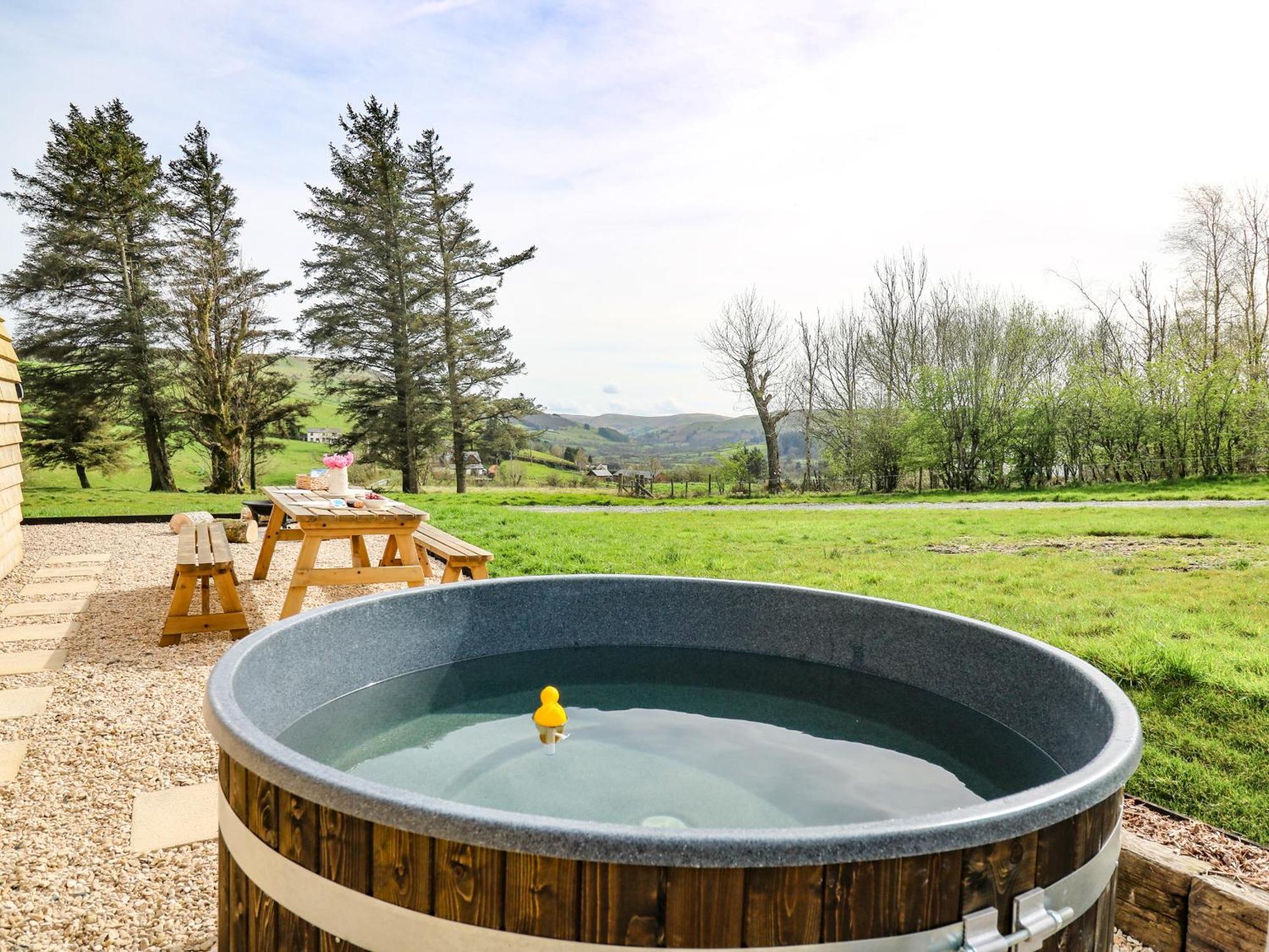 Willow Llanidloes Bagian luar foto