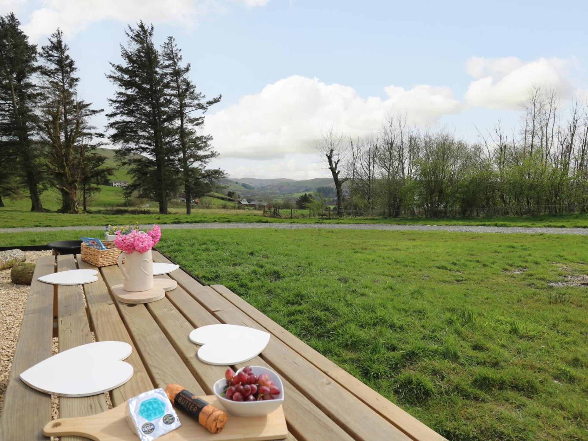 Willow Llanidloes Bagian luar foto